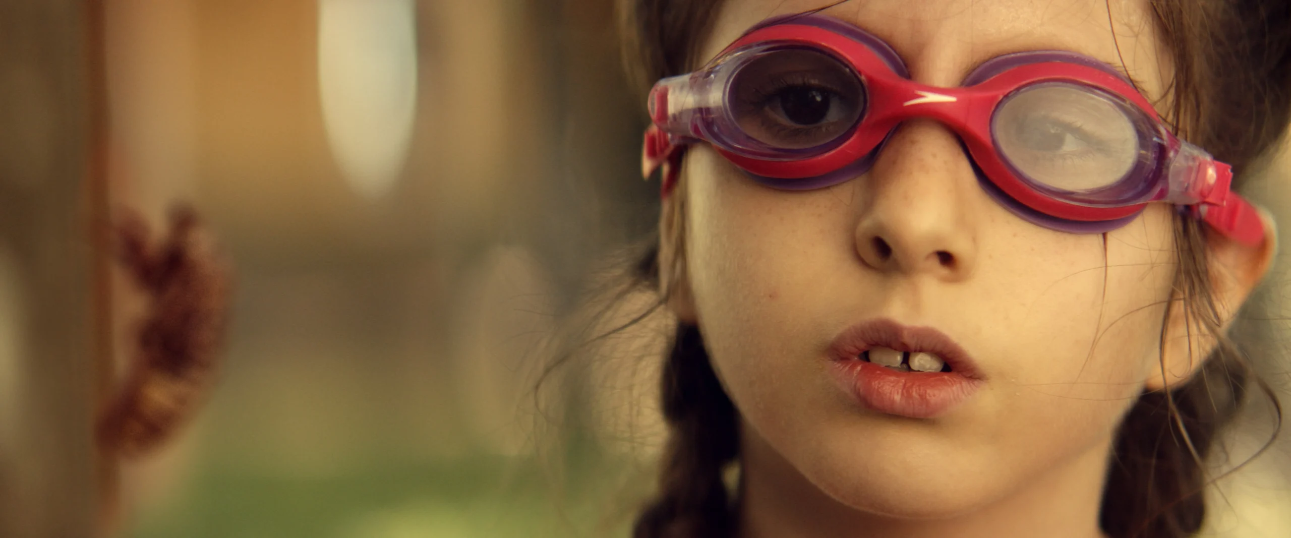 El Canto de las Cigarras - Imagen 4