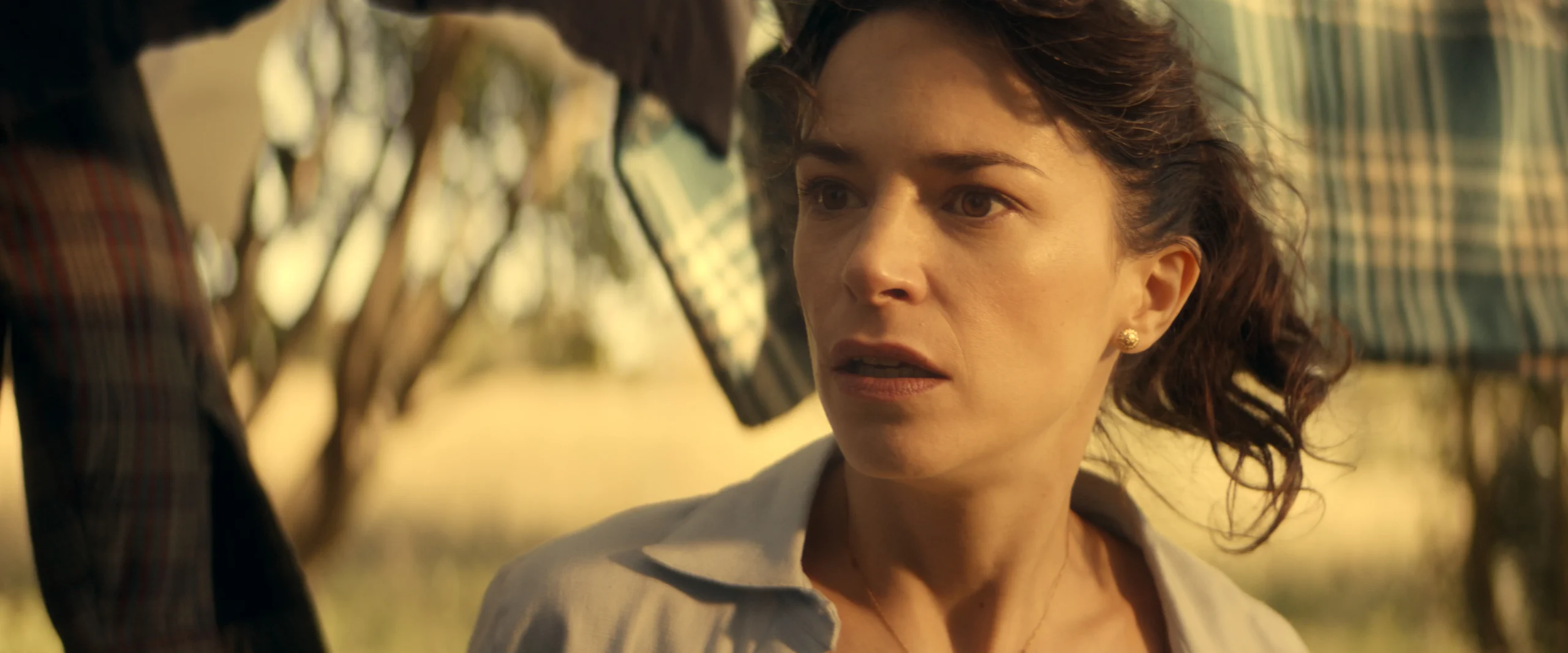 El Canto de las Cigarras - Imagen 1